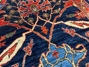 New Navy Afghanistan Aryana Garrus Bijar Runner